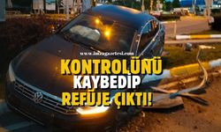 Zonguldak'ta Otomobil Refüje Çıktı!