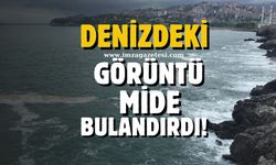 Denizdeki mide bulandıran kirliliğe tepki!