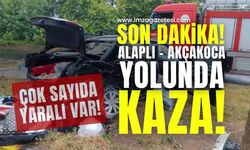 Alaplı-Akçakoca Yolunda Kaza