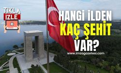 Çanakkale'de hangi ilden kaç şehit var? Zonguldak ve Kastamonu en başlarda geliyor...