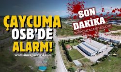 Çaycuma OSB'de gıda zehirlenmesi alarmı!