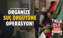 Organize suç örgütüne büyük operasyon!