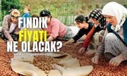 Fındık fiyatı ne kadar olacak?