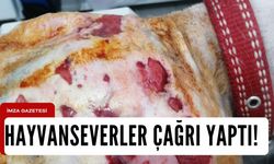 Kanser hastası köpek için çağrı yaptılar!