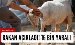 Bayram zehir oldu! 16 bin yaralı var