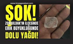 Zonguldak Gökçebey’de Erik Büyüklüğünde Dolu Yağdı