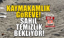 Göbü sahili temizlik bekliyor! Kilimli Kaymakamlığı göreve davet edildi!