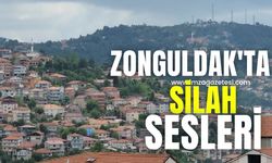 Zonguldak'ta silah sesleri! Polisler harekete geçti...