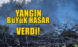 Kastamonu'da orman yangını! 2 haktarlık alan zarar gördü...