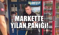 Markette yılan paniği!