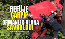 Refüje çarpıp ormanlık alana savruldu!