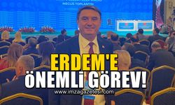 Tahsin Erdem'e önemli görev!