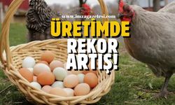 Tavuk ve Yumurta Üretiminde Rekor Artış!