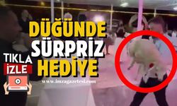 Düğün Töreni Sırasında Sürpriz Hediye…