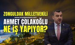 Zonguldak milletvekili Ahmet Çolakoğlu ne iş yapıyor?