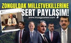 Burak Erol'un sert paylaşımı! "Zonguldak milletvekilleri gibiyim..."