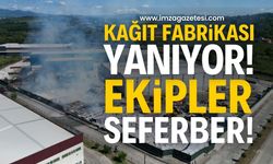 Çaycuma'daki Essel Kağıt Fabrikası'nda büyük yangın: Ekipler olay yerinde