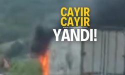 Cayır cayır yandı!