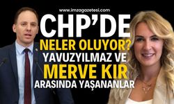 CHP Kadın Kolları Genel Başkanlığı Seçimi: Sert Mücadele Bekleniyor