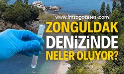 Deniz Kirliliği Endişesi: Vatandaşlar Numune İstiyor