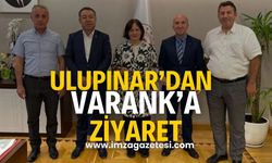 Devrek Belediye Başkanı Özcan Ulupınar'dan Bakan Yardımcısı Fatma Varank'a Ziyaret...