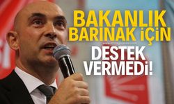 Devrim Dural, hayvan yasasına karşı çıktı! "Yeterli sayıda barınak açılmamış bakanlıklar da destek vermemiştir"