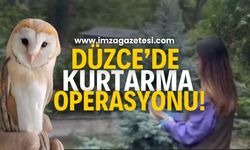 Düzce'de Peçeli Baykuş Operasyonu!