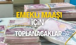 Emekli maaşı düzenlemesi için toplantı yapılacak!