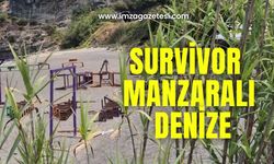 Survivor manzaralı denize girdiler!