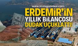 Erdemir, Türkiye'nin En Büyük 13. Şirketi Olarak Yükseliyor