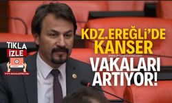 Eylem Ertuğrul, "Kdz.Ereğli'de kanser vakaları artıyor!"