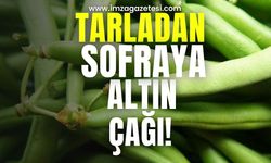 Tarladan sofraya altın çağı!