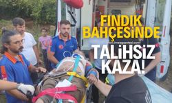 Fındık bahçesinde talihsiz iş kazası!