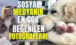 Sosyal Medyada En Çok Beğenilen ve Paylaşılan Fotoğraflar…