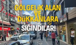 Gölgelik alan ve dükkanlara sığındılar