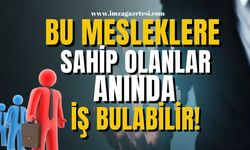 TÜİK duyurdu! Bu mesleğe sahip olanlar anında iş bulabilir!