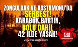 Karabük, Bartın ve Bolu dahil 42 ilde yasak! Zonguldak ve Kastamonu'da serbest!