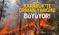 Karabük'te çıkan orman yangını büyüyor!