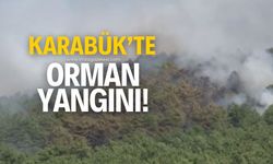 Karabük'te orman yangını! Çok sayıda ekip bölgeye sevk edildi