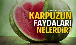 Karpuzun faydaları nelerdir? Nasıl yenmeli?