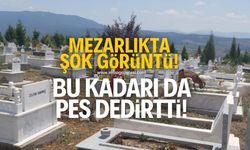 Mezarlıkta şok görüntü! Bu kadarı da pes dedirtti!