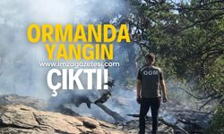 Bolu'da ormanlık alanda yangın çıktı