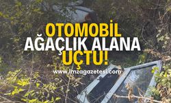 Otomobil Ağaçlık Alana Uçtu!