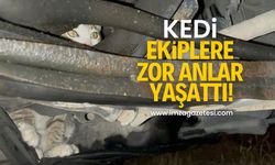 Otomobilin motoruna giren kedi, ekiplere zor anlar yaşattı!