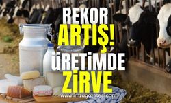 Rekor Artış! Üretim Zirveye Ulaştı