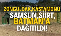 Samsun, Kastamonu, Batman, Zonguldak ve Siirt illerine dağıtıldı!
