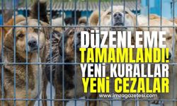 Sokak Köpekleri Düzenlemesi Tamamlandı! İşte Yeni Kurallar ve Cezalar