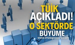 TÜİK açıkladı! O Sektörde Büyüme!