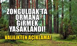Valilikten ormana giriş yasağı açıklaması! Zonguldak merkez ve ilçelerde yasak olan yerler...