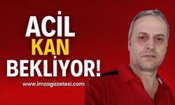 Zonguldak’ta Acil kan ihtiyacı!